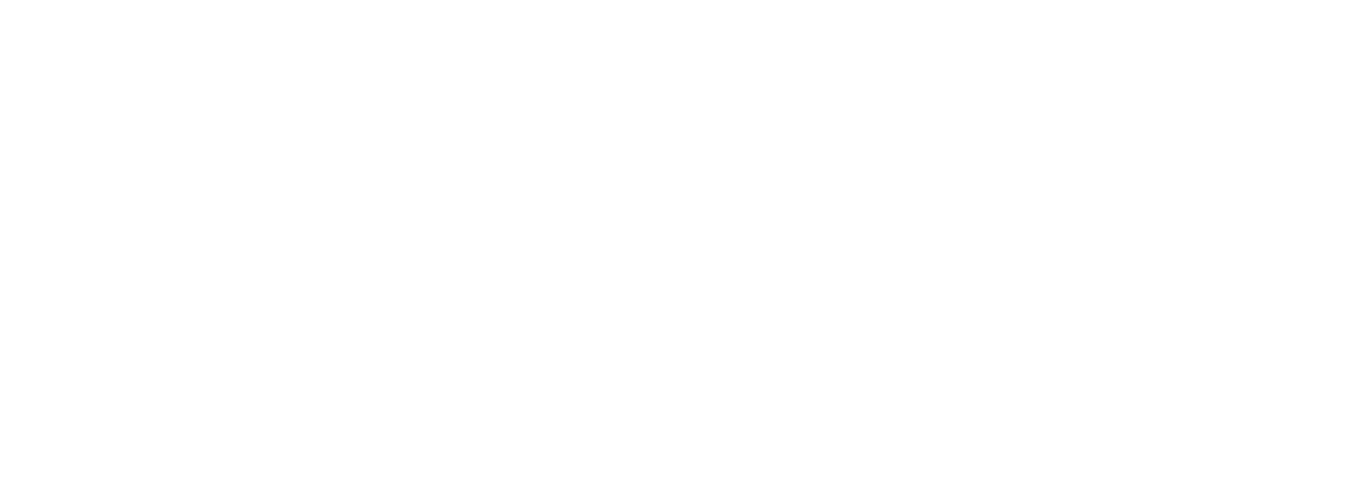 Drone Challenge